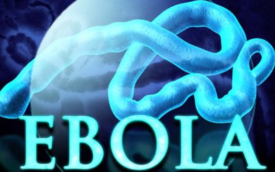 Ebolayı Kontrol Ve Takip Yazılımı Geliştirildi